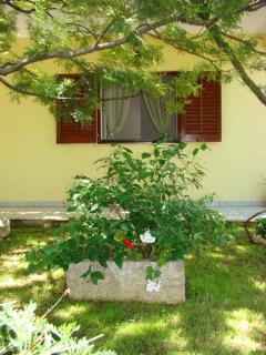 Apartments in Trogir - Trogir (Traù) - 8