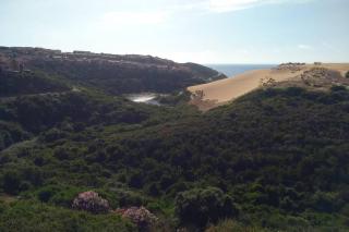 Mare, dune, lago e bosco in assoluto relax. - Torre Dei Corsari - 8