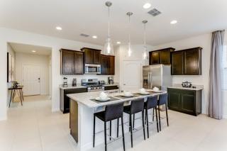 Luxury 6 Bedroom 4 Bath Home With Spa villa - Davenport - 6
