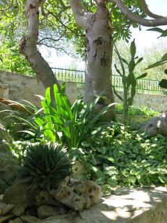 Apartments in Trogir - Trogir (Traù) - 4