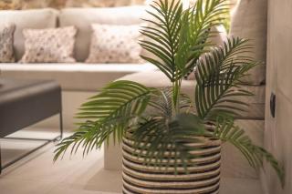 Apollonos 28 Luxury Suites - Atene - 6