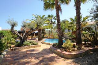 Riumar "Pedro", 270m to beach, private pool, On-Site-Service, dog beach - 6