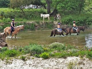 Ferme Equestre Les Coccinelles - Lurs - 7