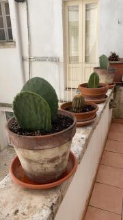 My Little Flat - Martina Franca - 5