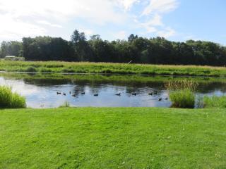 Gudená Riverview Villa - 4