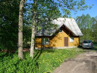 Brīvdienu māja Lejas - 2
