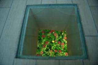 Bed and Breakfast Oz - Bari - 7