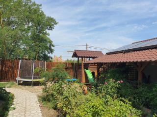 Casa de vacanta Spiritul Deltei - 3