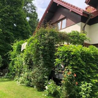 Leśna 6 - House with a garden - Bolechowice - 6