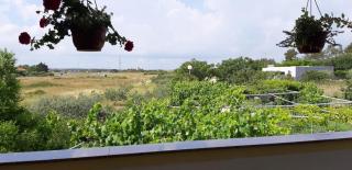 Apartment in Nin with Terrace, Air conditioning, Wi-Fi (3722-1) - 7