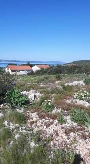 Robinson home in Pašman with Seaview, Terrace (4654-1) - Pašman - 8