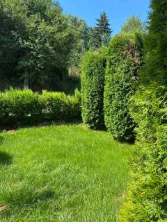 Apartmani Nini Vlasina - Vlasina Rid - 6
