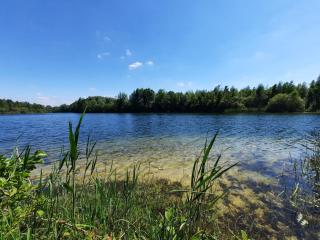 Ferienhaus am See Goch Kessel - Goch - 9
