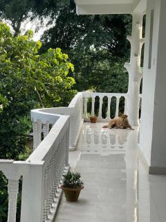 Hotel Misty Nepal - Sauraha - 5