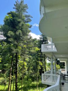 Hotel Misty Nepal - Sauraha - 2