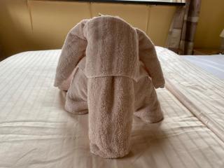 Hotel Meereswoge - Cuxhaven - 1