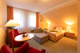 Hotel Zum Steinhof - Bad Blankenburg - 3