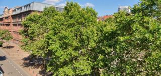 sonniges Zimmer mit Balkon im Herzen Mannheims - 5