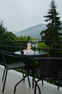 Likani Home - Borjomi - 6