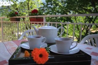 Apartman Vesna - Virpazar - 1