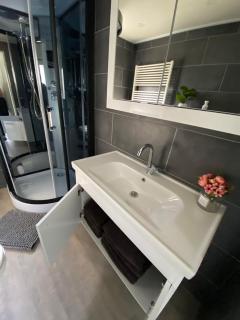 Luxe Chalet 146 - Putten - 5