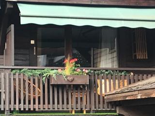 Nid Douillet à la Louvée - Combloux - 1