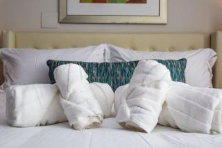 Luxurious Studio in Heart of San Diego w Cali King - 5