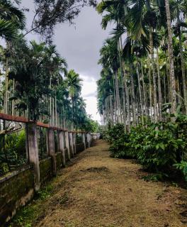 Dubare Inn Coorg - Madikeri - 4