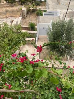 Panoram House Saranda - Saranda - 2