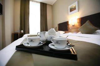 Tskaltubo Plaza Hotel - Tskhaltubo - 5