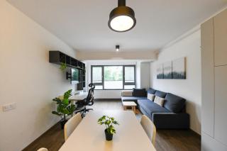 Modern Apartment in a Quiet Area - Cluj-Napoca - 2