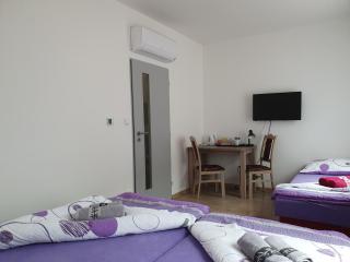 HOTELOVÉ UBYTOVÁNÍ U RADNICE - Valašské Klobouky - 3