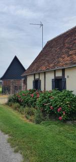 Gite à la ferme - La Ferté-Saint-Samson - 8