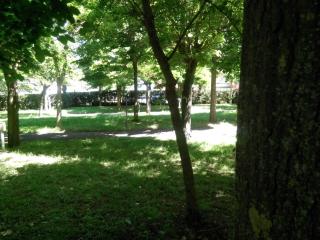 Camping Vigna di Valle - Anguillara Sabazia - 1