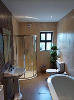 Country Lane Homestay - Westport - 5