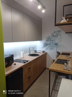 Studio Apartman Pale - Pale - 8