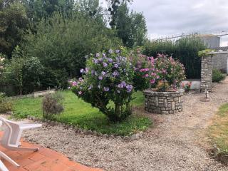 Chez FIRMIN "Les Ombrages" - Mesnac - 9