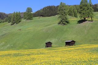 Landhuus Frauenkirch - Frauenkirch - 8
