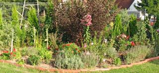 Agroturystyka Pokój na Skarpie - 1