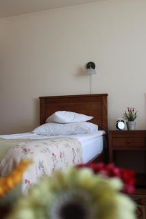 Vila Toparceanu - Therme & Airport Otopeni - 5