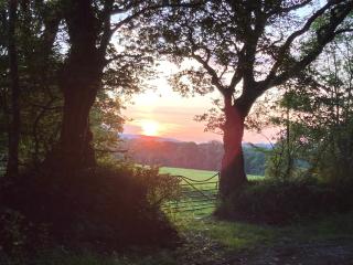 Coedmor Camping - Cardigan - 3