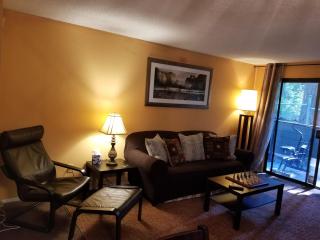 Lovely One bedroom condo with indoor fireplace. - Federal Way - 8