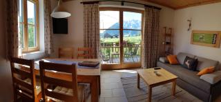 Appartements gosaukamm.com - Gosau - 9