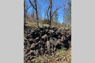 El Refugio de San Pablo de los Montes - 4