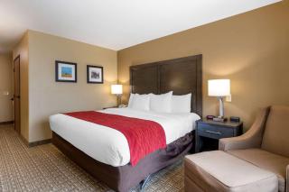 Comfort Inn & Suites Ponca City near Marland Mansion - Ponca City - 3