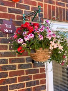 The Nest Kingston - Winterborne Kingston - 7