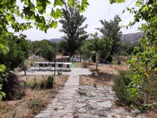Hospederia La Serrota - Narros del Puerto - 8