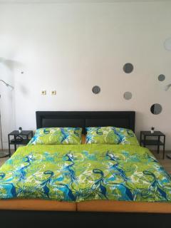 Sportovni apartman - Náchod - 4