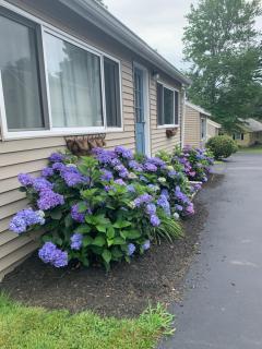 Northeaster Motel - 4