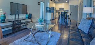 2 Bedroom Fully Furnished Apartment near Emory University Hospital Midtown - Atlanta - 3